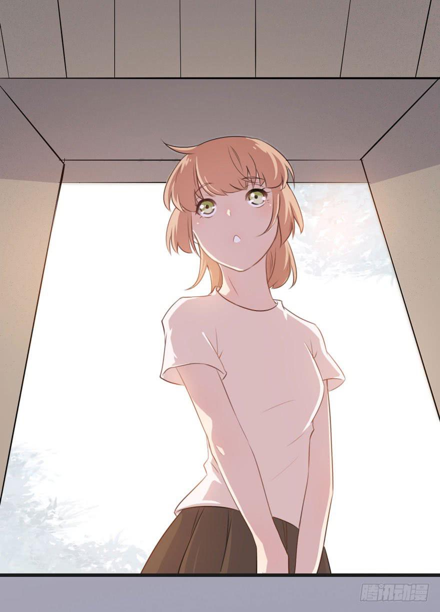 002 茕茕白兔18