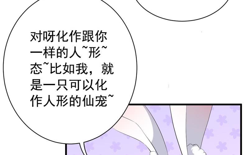 071仙宠18