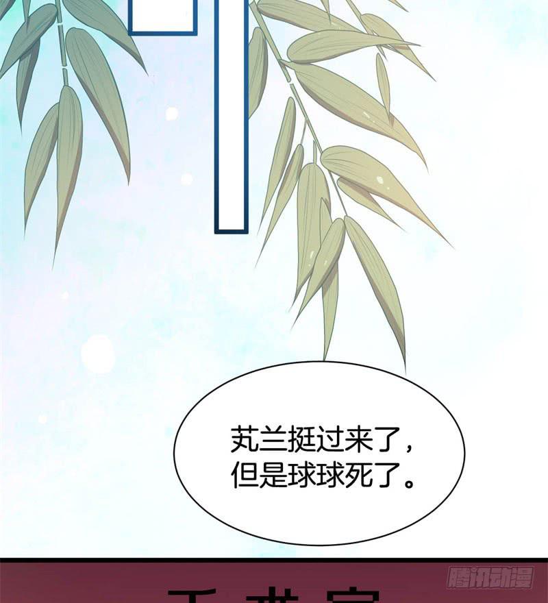041黑眼圈不是坏妖怪（九）33