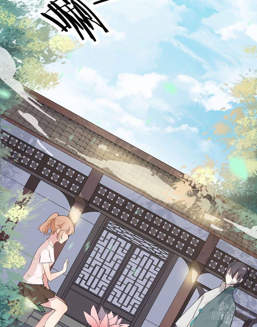 002 茕茕白兔41