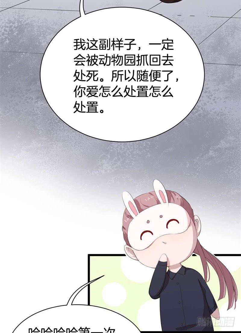 042黑眼圈不是坏妖怪（十）32