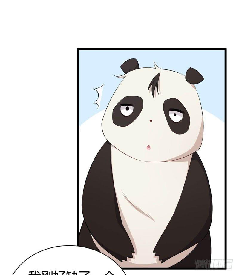 042黑眼圈不是坏妖怪（十）37