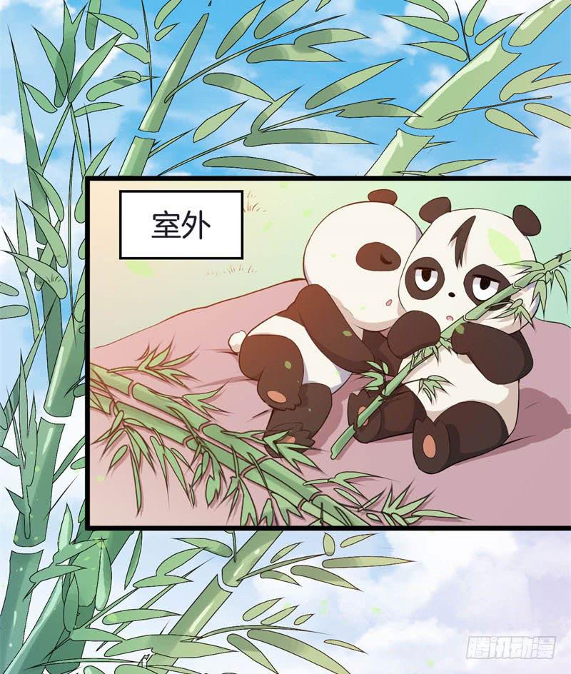041黑眼圈不是坏妖怪（九）13