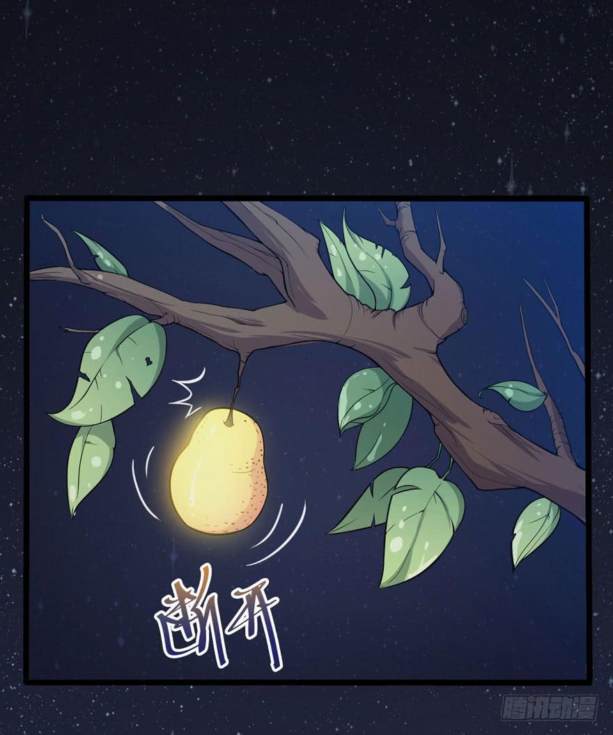 002 茕茕白兔55