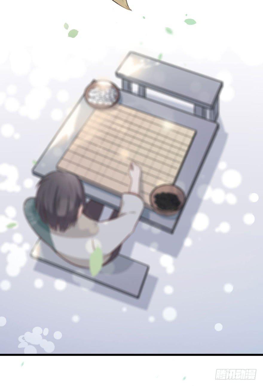 002 茕茕白兔3