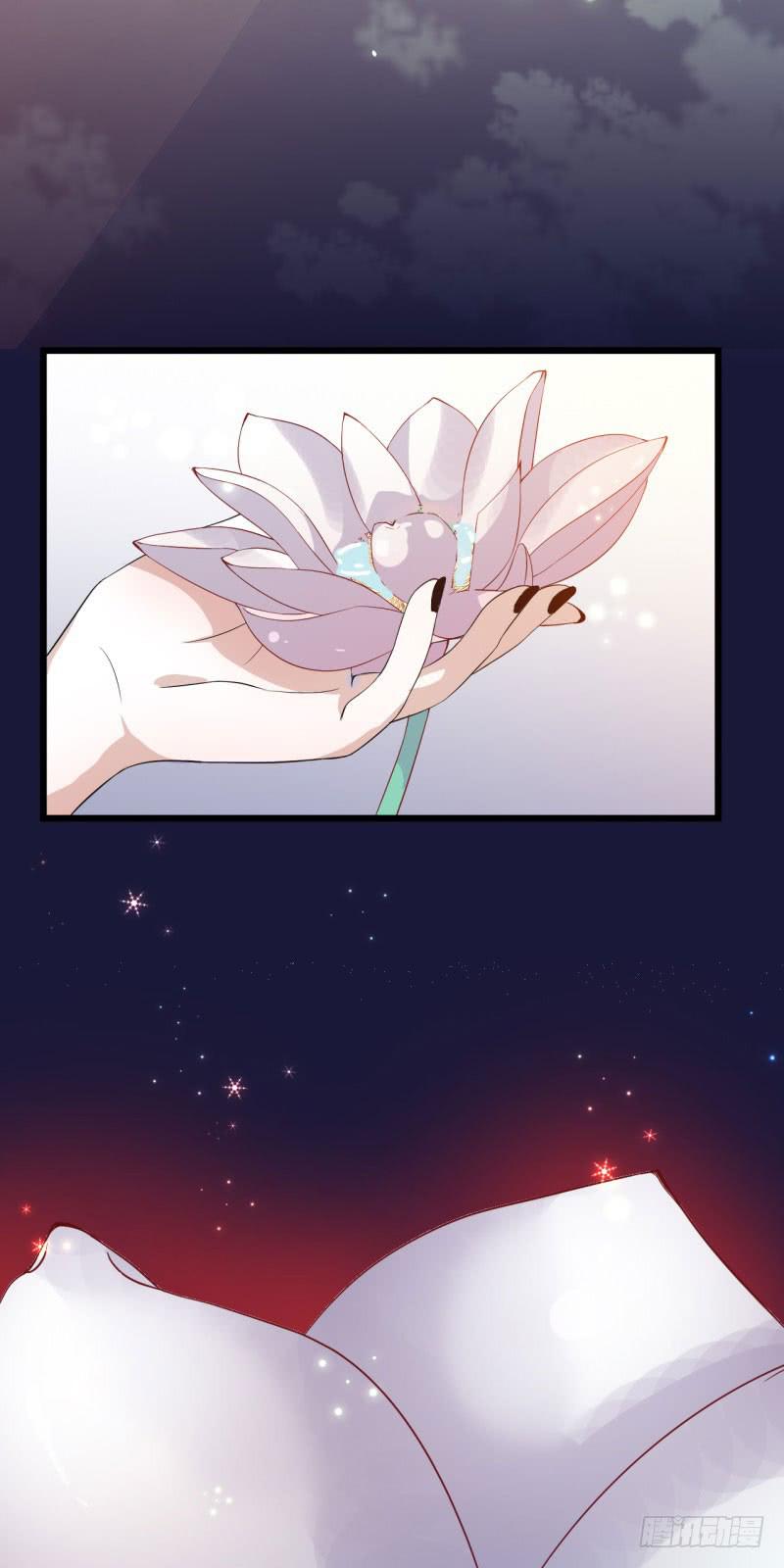 023梦41