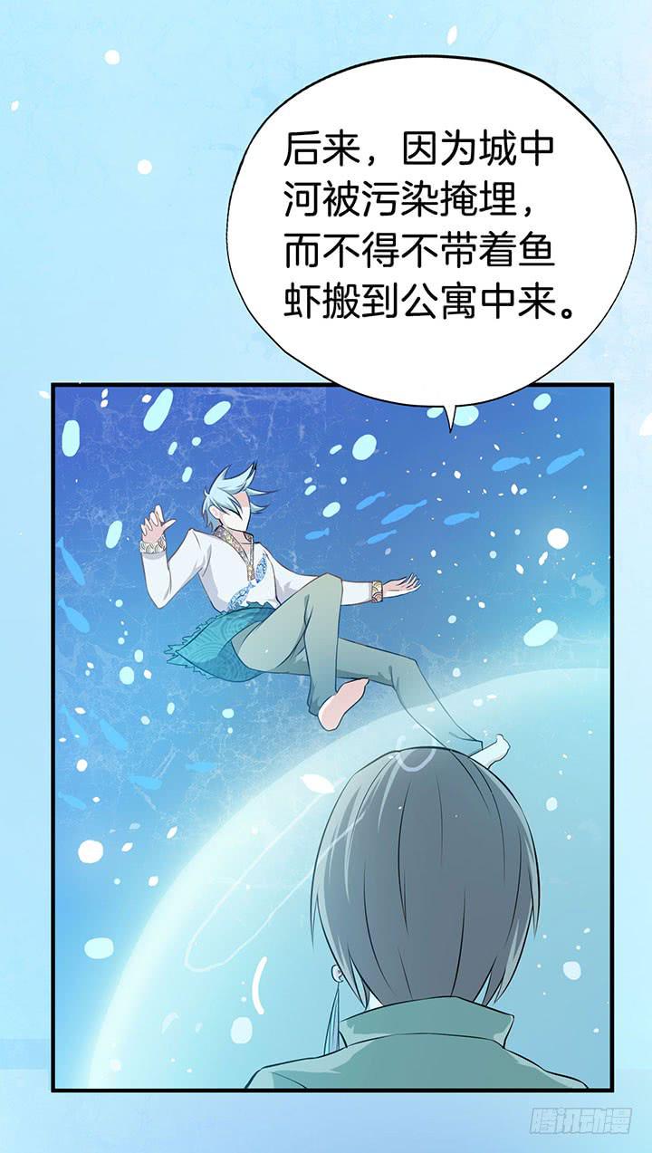 004电梯公寓里的龙宫仙境（二）17