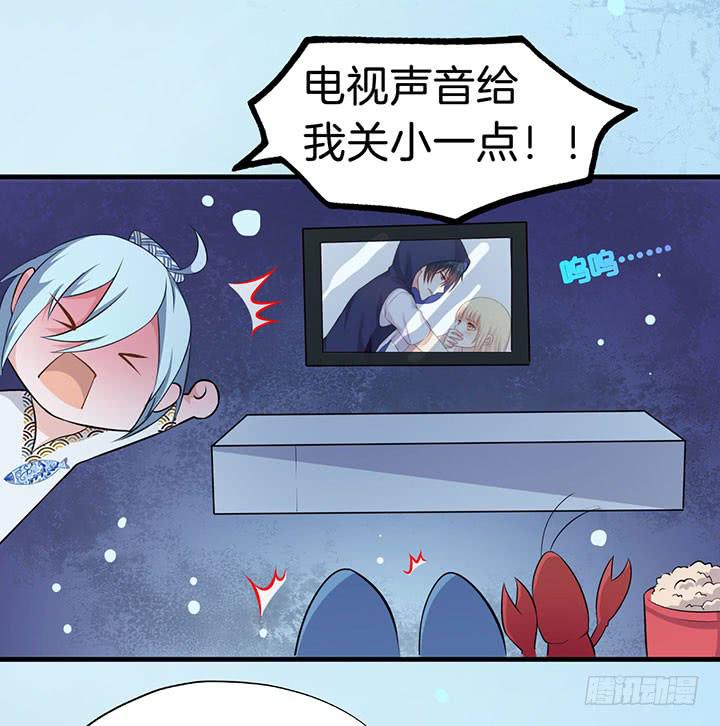 004电梯公寓里的龙宫仙境（二）29