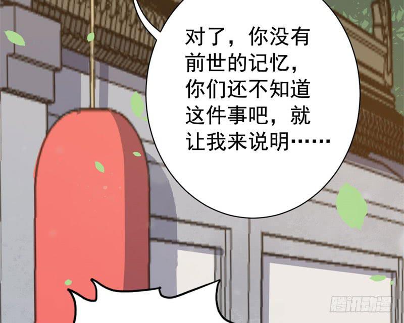 069玉总的秘密57