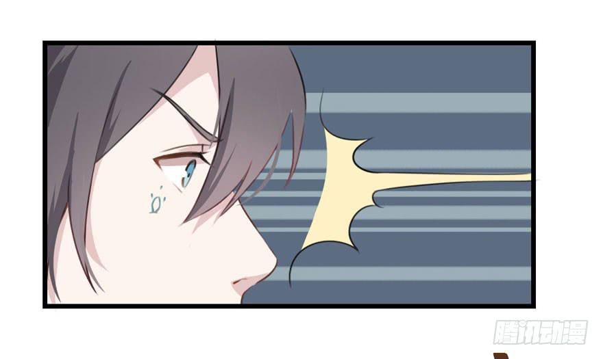 002 茕茕白兔6