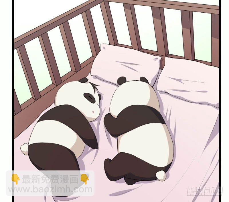 041黑眼圈不是坏妖怪（九）22