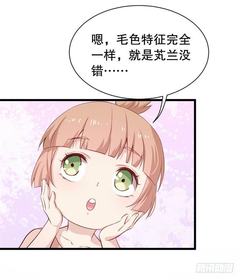 040黑眼圈不是坏妖怪（八）41