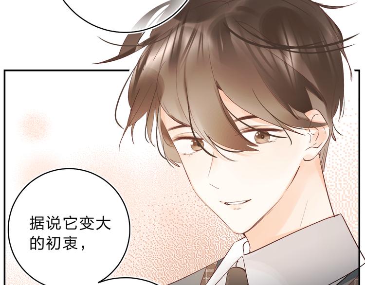 番外 花样学长6