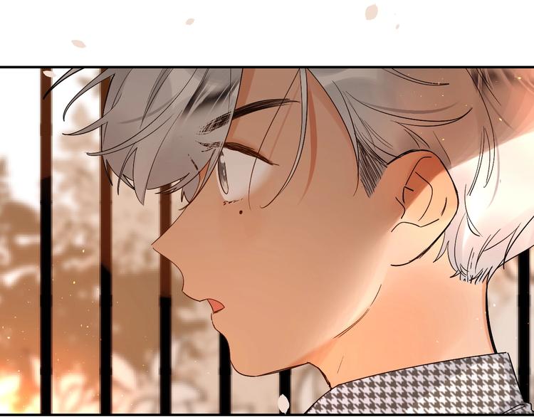 第55话 羡慕74