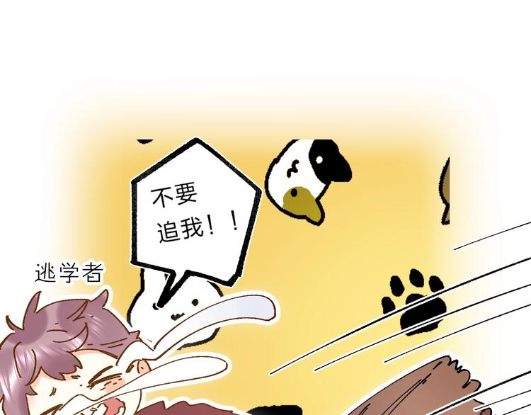 第48话 努力的方向12