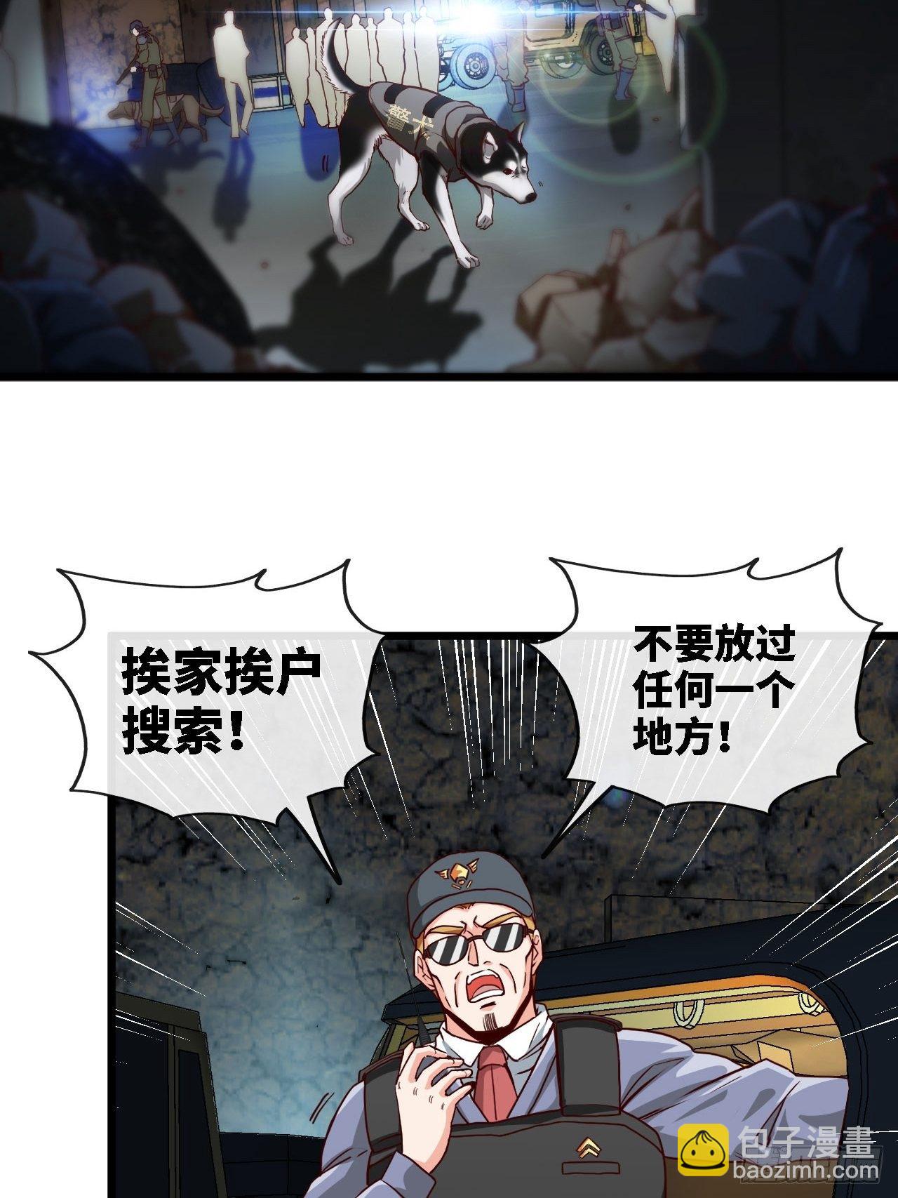 小兔子找朋友21