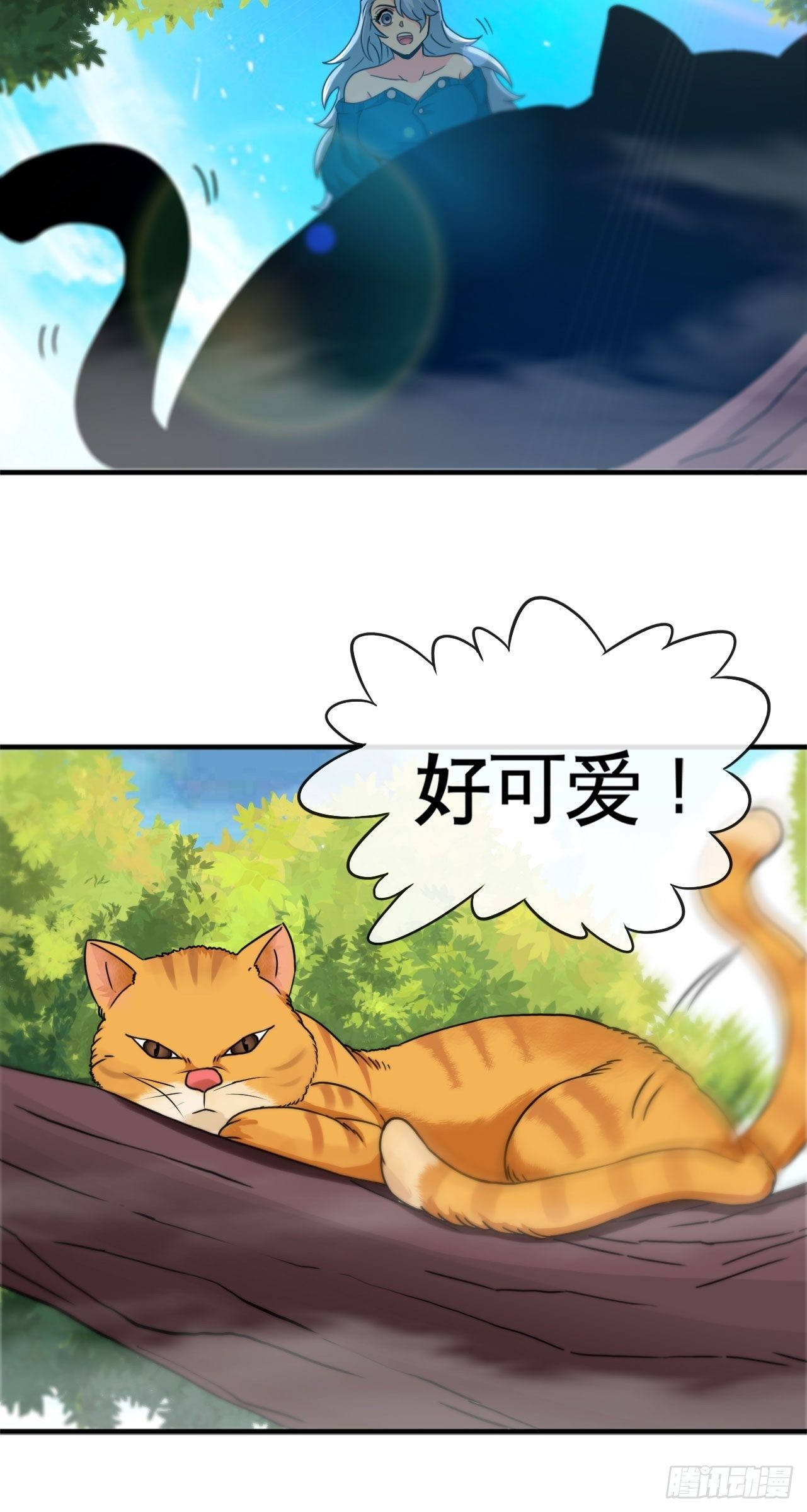 哲学带师36