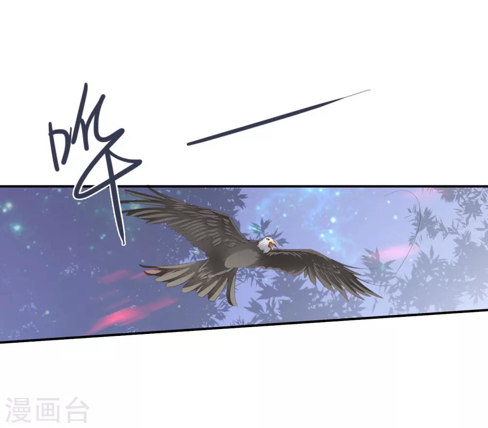 第63话 皇上被掳13