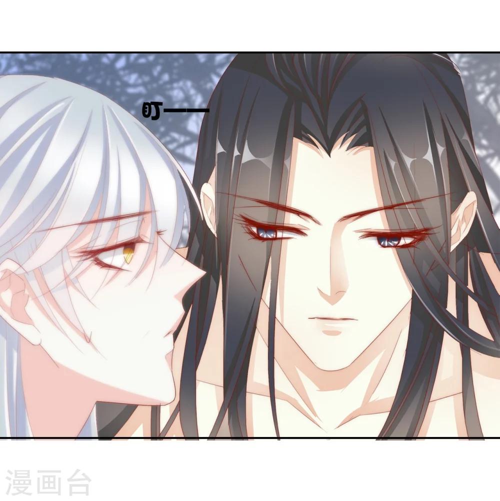 第35话 夜会18