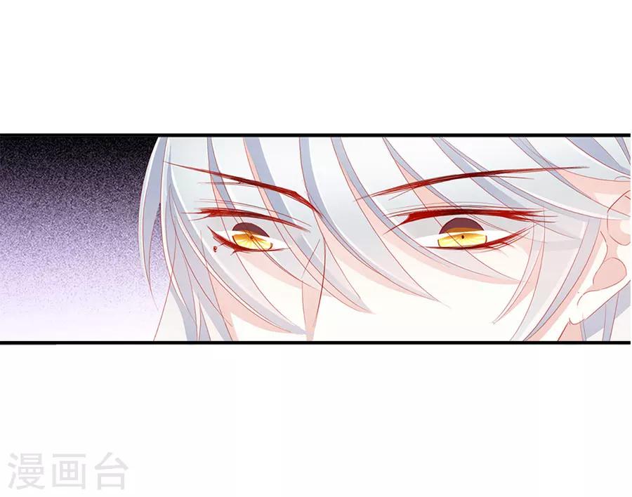 第52话 刺客22