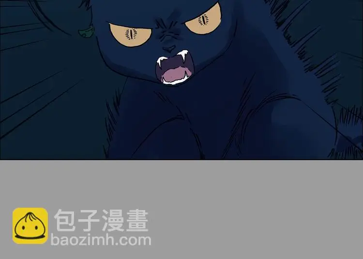 第90话 猫男（一）29