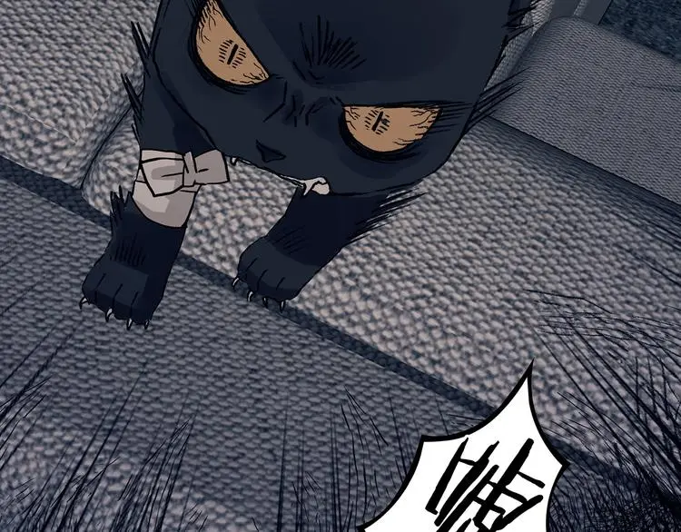 第90话 猫男（一）99