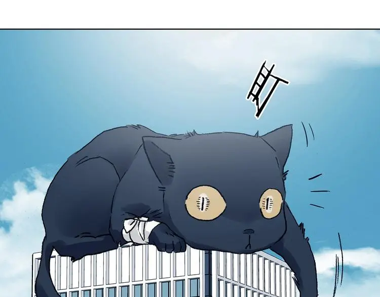 第91话 猫男（二）136