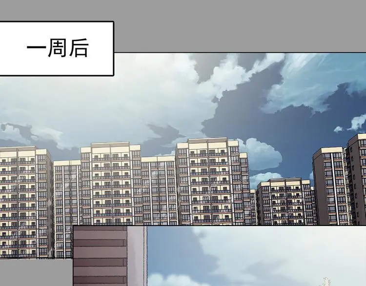 第26话 信鸽（1）137