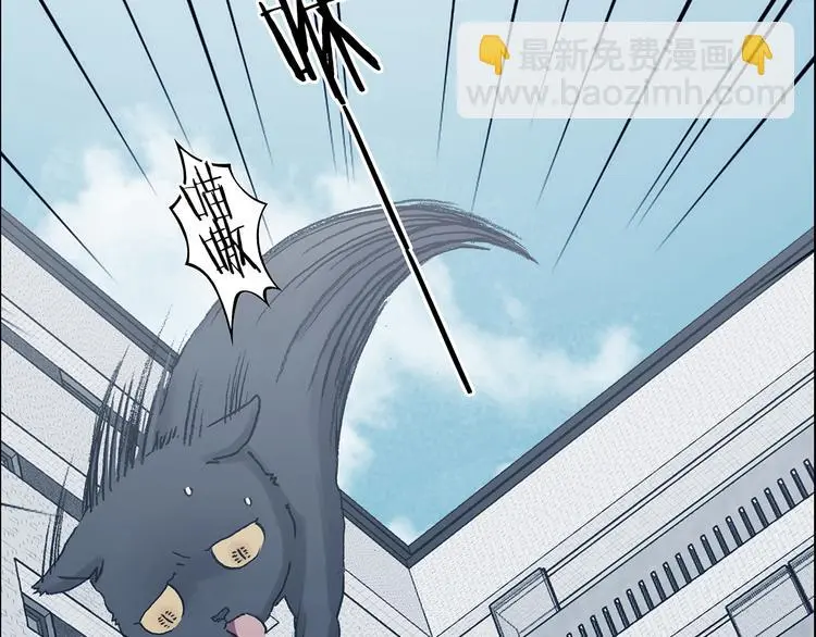 第92话 最终章 猫男（三）92