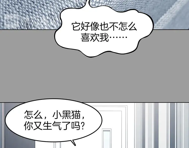 第90话 猫男（一）48