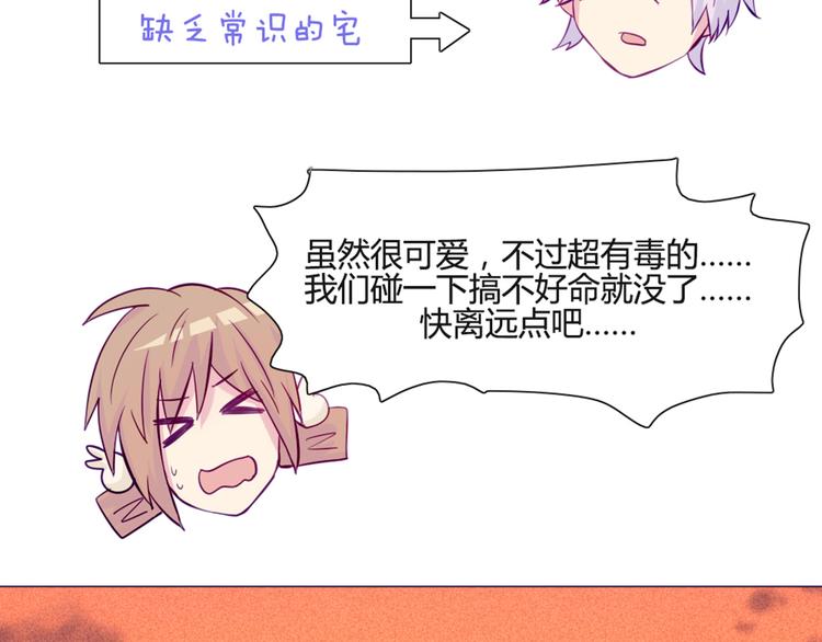 第46话 美丽的东西都有毒40