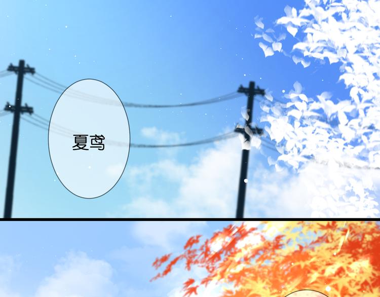 第29话 秘密与期限1