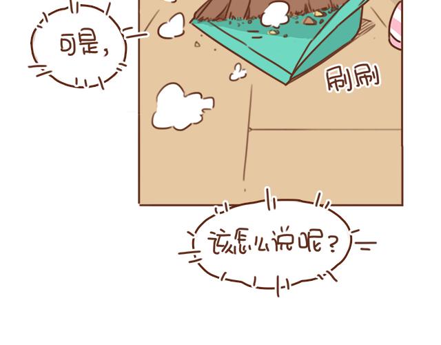 第33话 男朋友要来家41