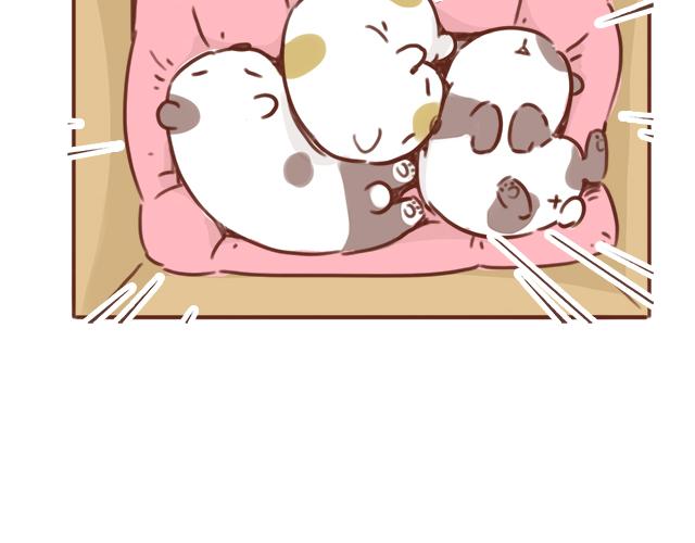 第48话 出现了新…新阿姨？？21