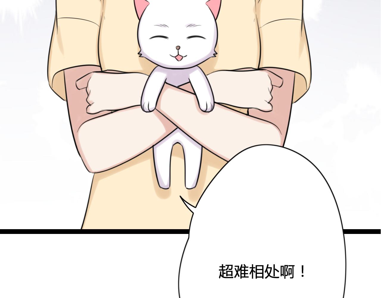第13话 巧克力引发的惨案7
