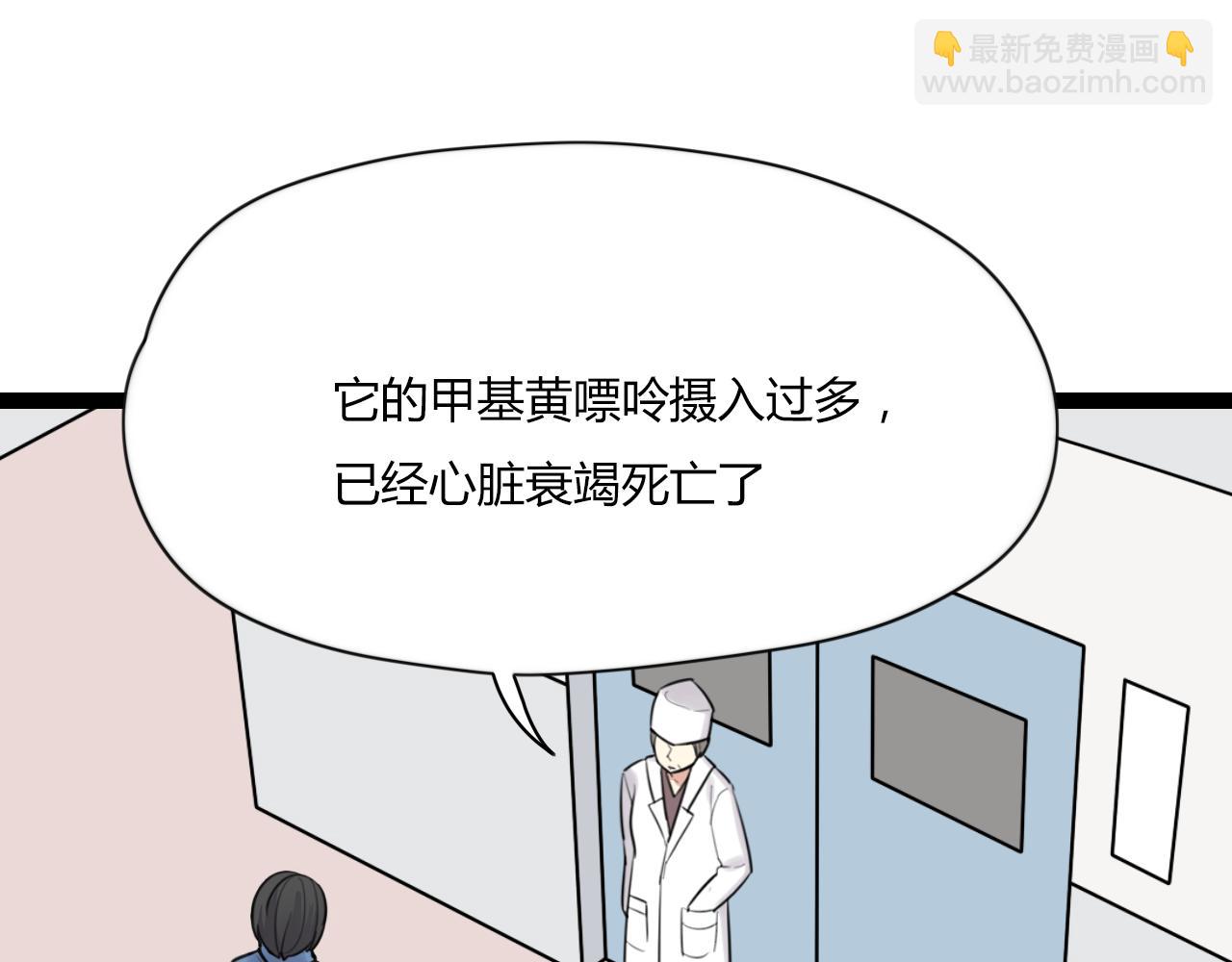 第14话 哪有什么如果……25