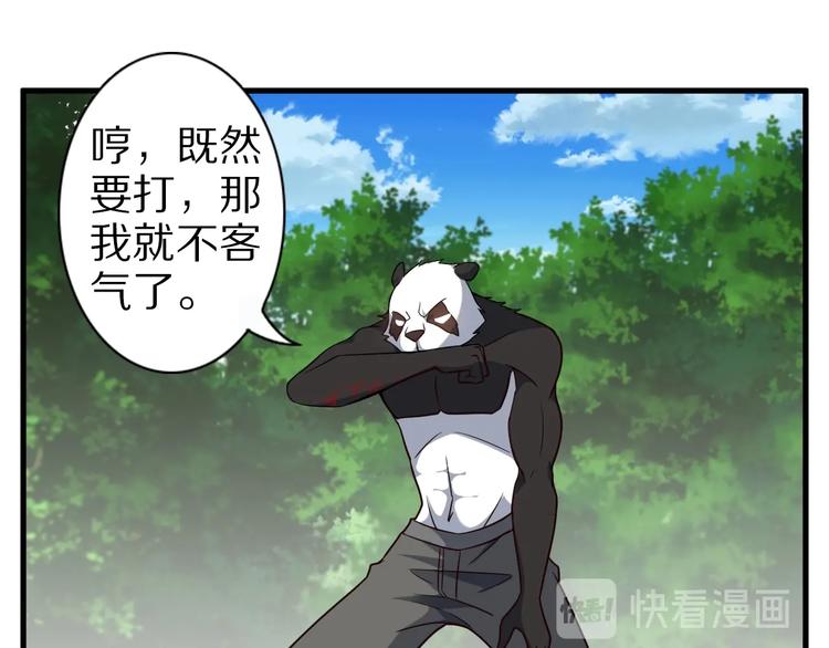 第73话 熊猫滚滚！54