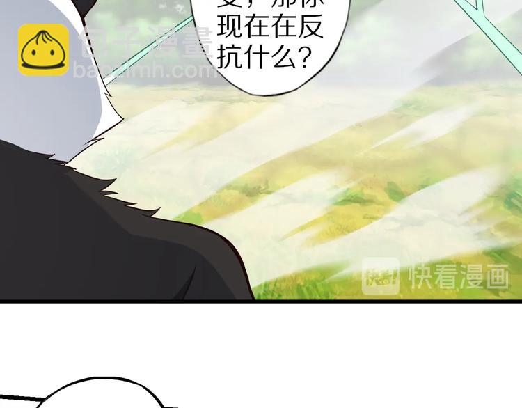 第73话 熊猫滚滚！41