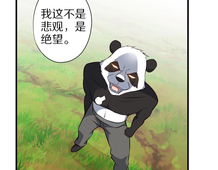 第73话 熊猫滚滚！25