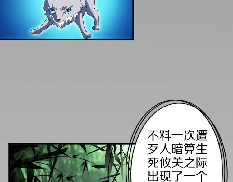 第52话 接任掌门？81
