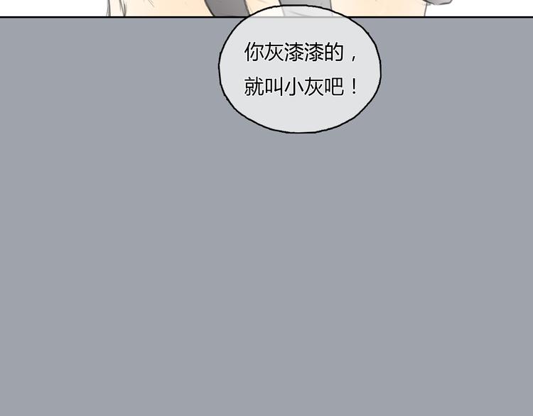 第24话 圣诞番外：爱黏思勋的小灰的故事20