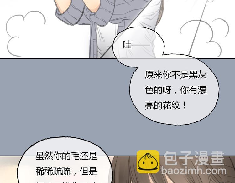 第24话 圣诞番外：爱黏思勋的小灰的故事25