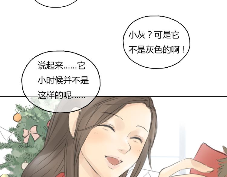 第24话 圣诞番外：爱黏思勋的小灰的故事6