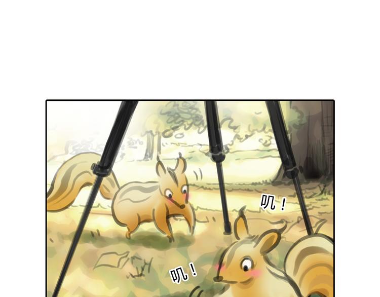 完结篇 我找到你了31