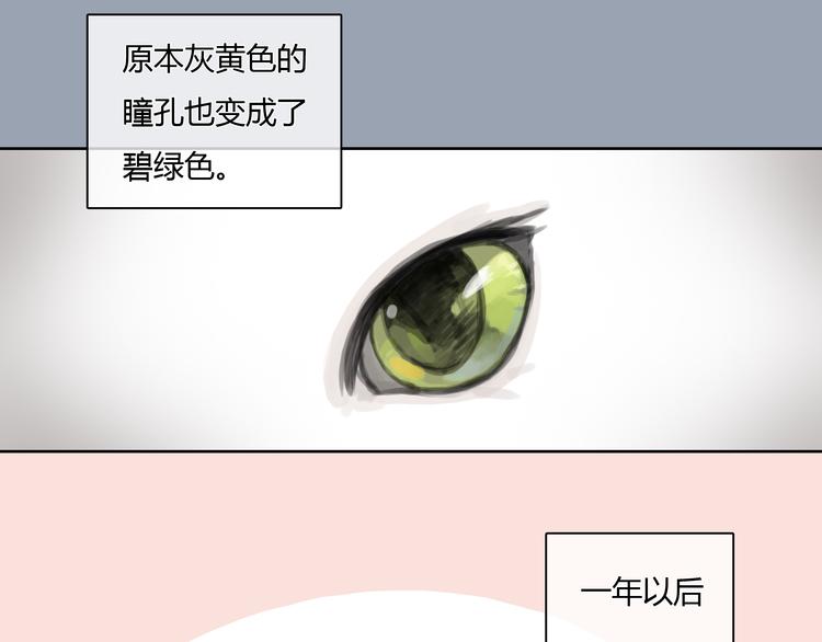 第24话 圣诞番外：爱黏思勋的小灰的故事31
