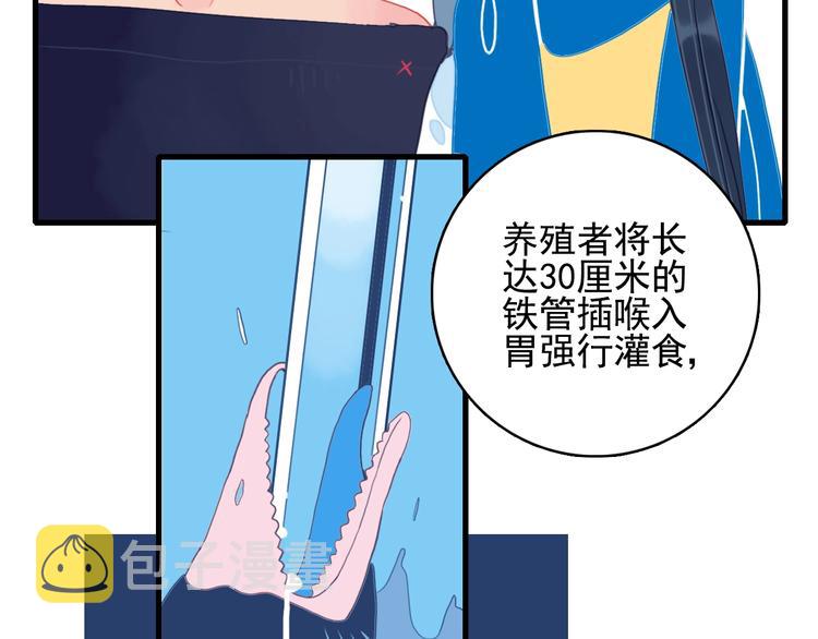 第31话 吃醋修罗场71