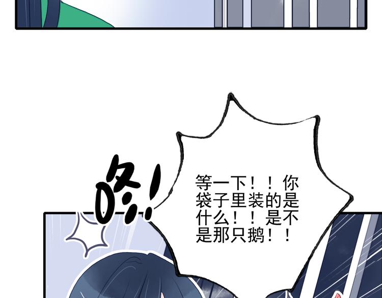 第6话 我们的鹅子66