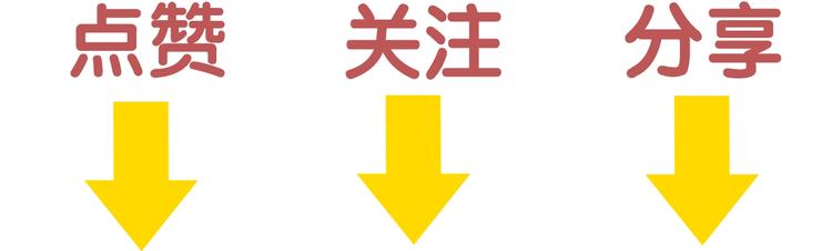 第40话 养家之人125