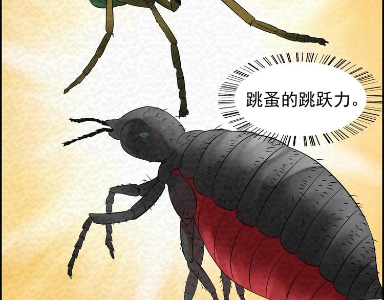 第78话  姐姐？80