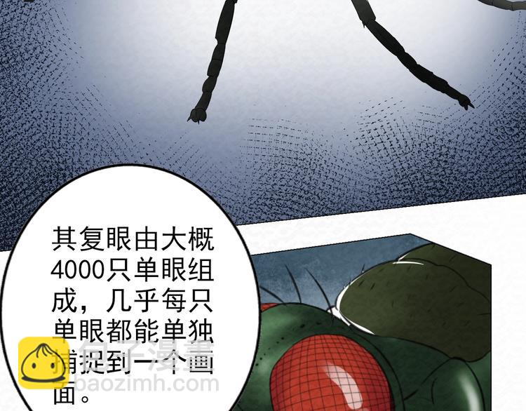 第73话  实力差距45
